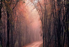 利尔客场逼平圣埃蒂安，保持不败