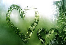 掘金队半程低迷，球队需找回状态