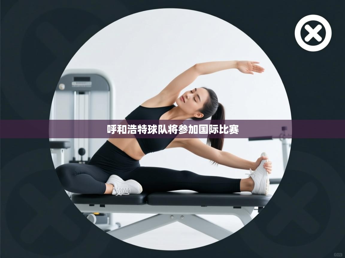 呼和浩特球队将参加国际比赛 第2张