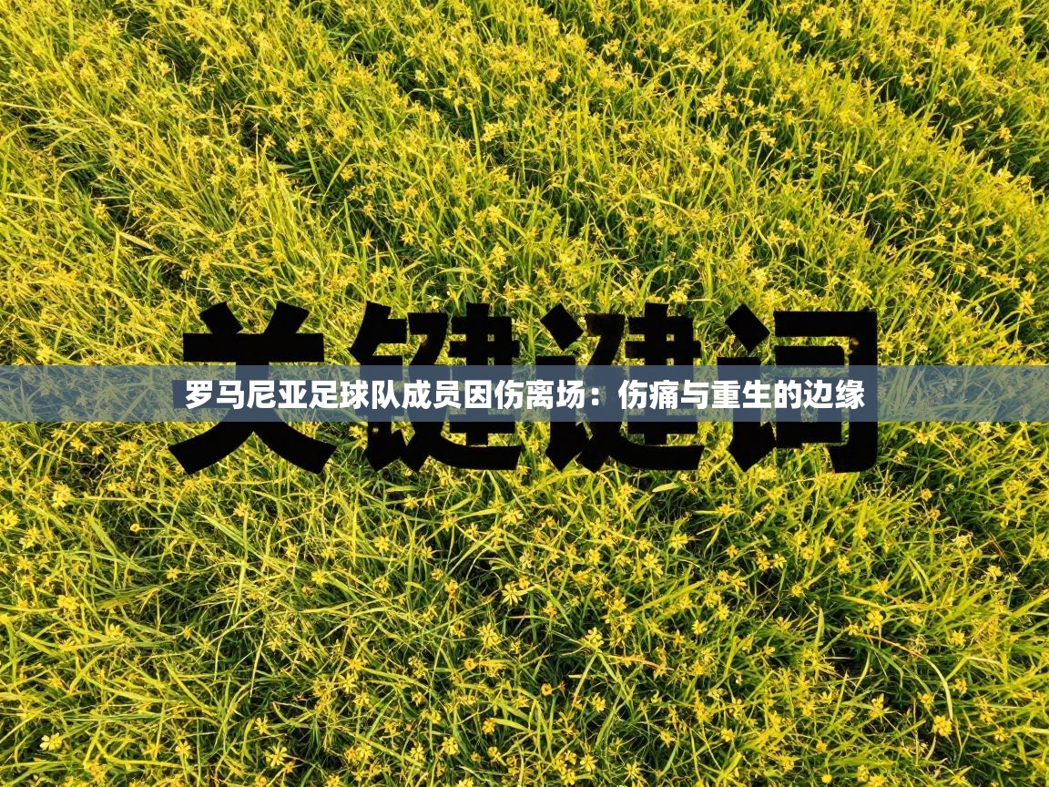 罗马尼亚足球队成员因伤离场：伤痛与重生的边缘