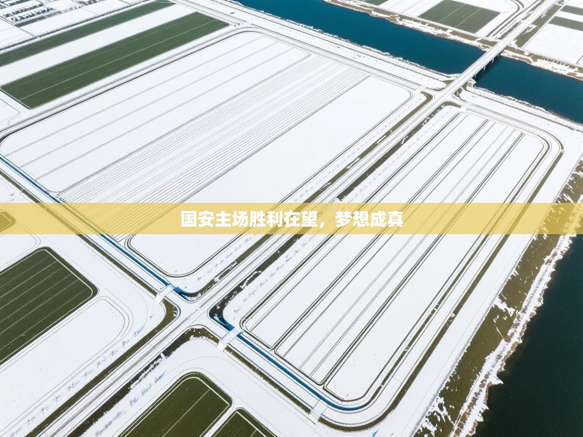 国安主场胜利在望，梦想成真